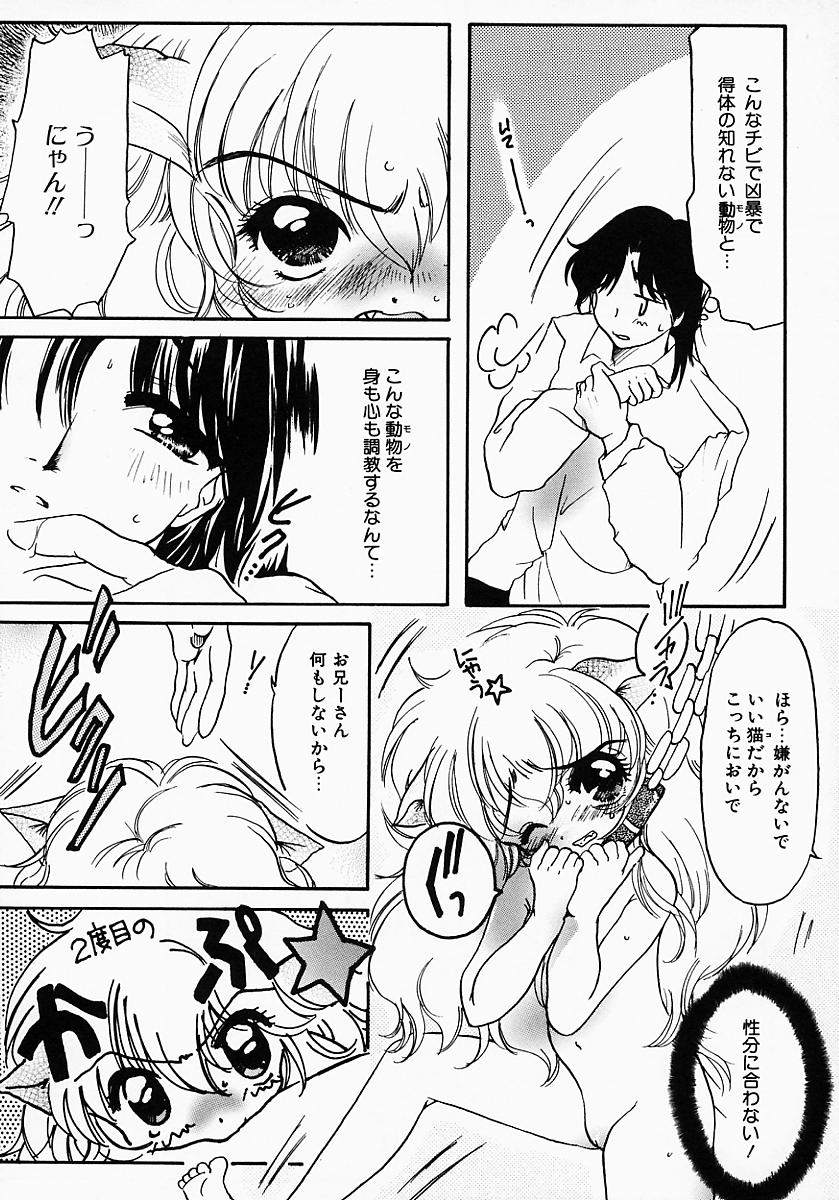 [にゃんこMIC] ロリポップキャンディ