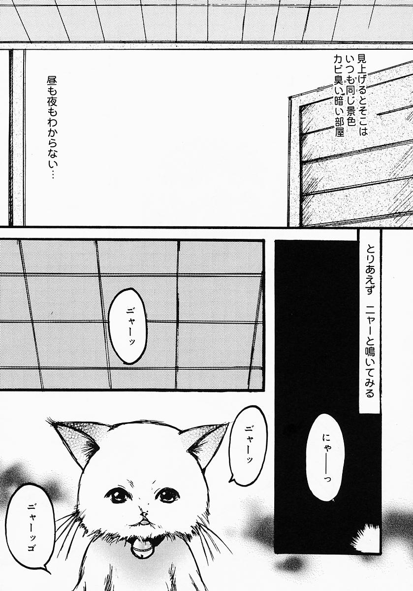 [にゃんこMIC] ロリポップキャンディ