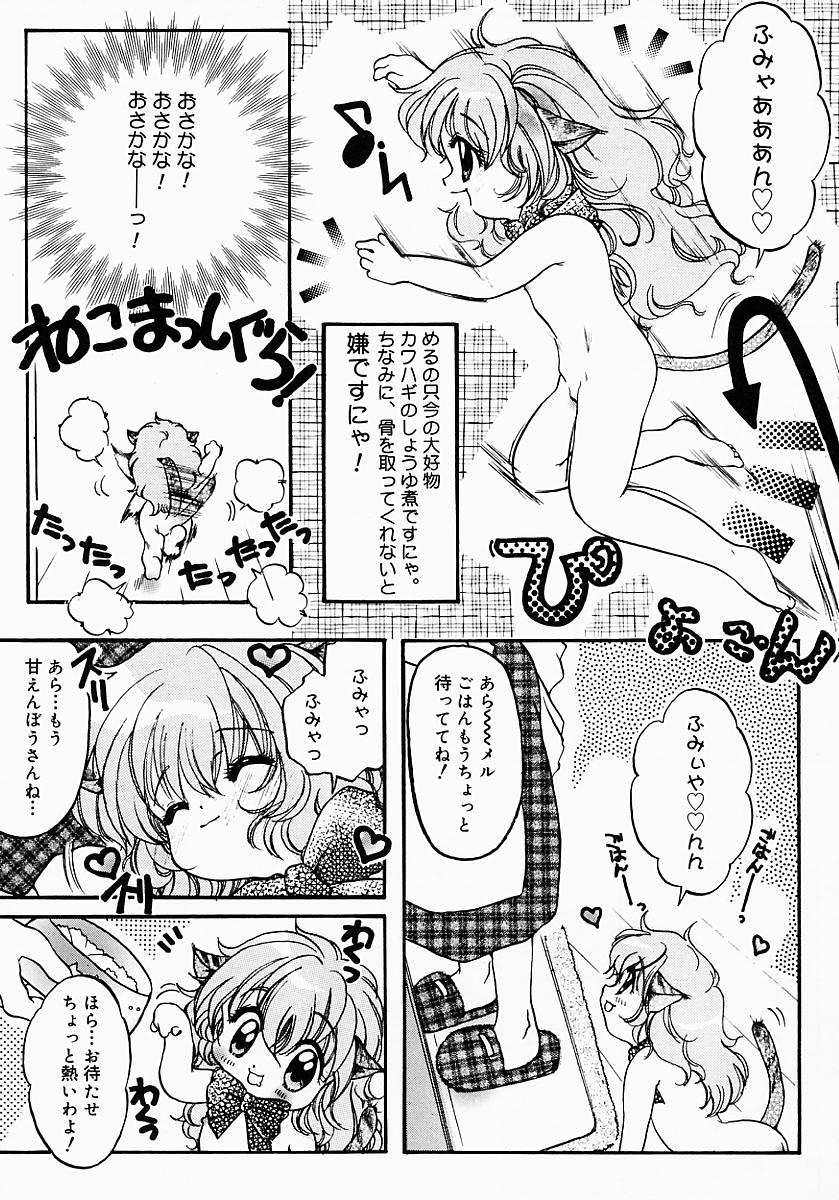 [にゃんこMIC] ロリポップキャンディ