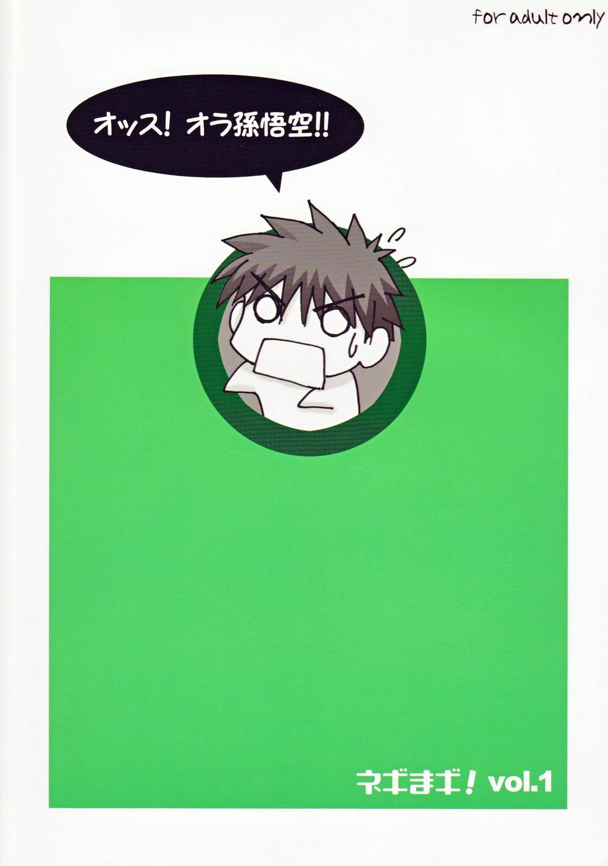 (サンクリ33) [I&I (Naohiro)] ネギまギ! vol.1 (魔法先生ネギま!)