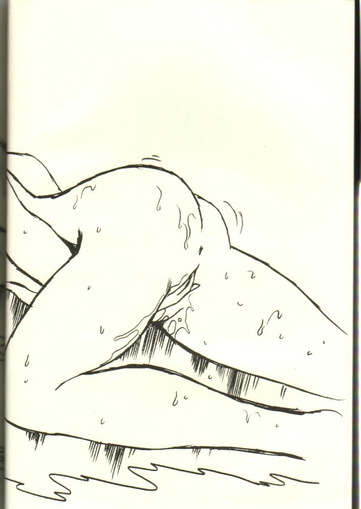 (C38) [スタジオかつ丼 (真鍋譲治)] 浦アウトランダズ2 (アウトランダーズ)