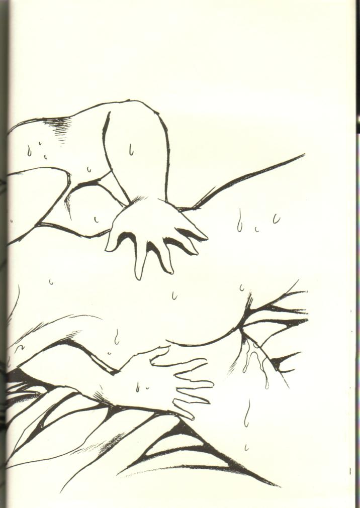 (C38) [スタジオかつ丼 (真鍋譲治)] 浦アウトランダズ2 (アウトランダーズ)