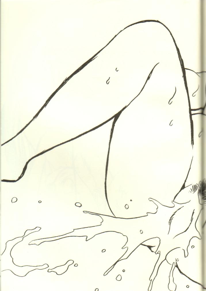 (C38) [スタジオかつ丼 (真鍋譲治)] 浦アウトランダズ2 (アウトランダーズ)