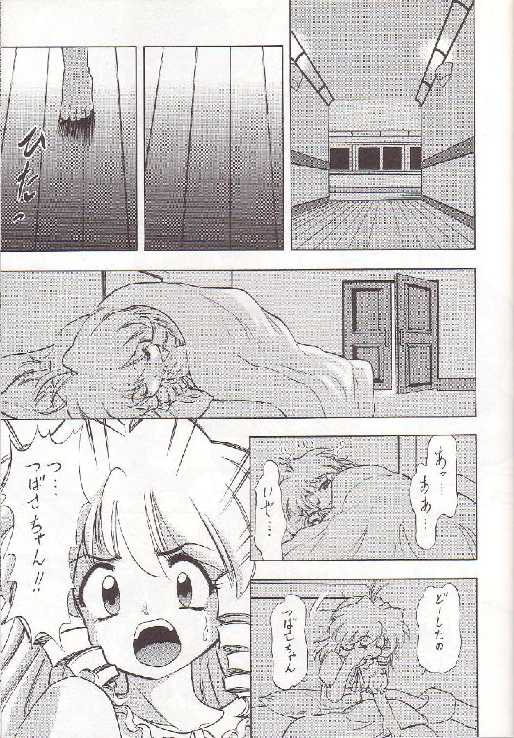 (サンクリ5) [スタジオ・ワラビー (深紫'72、蔵王)] どりすのないしょ (D4プリンセス)