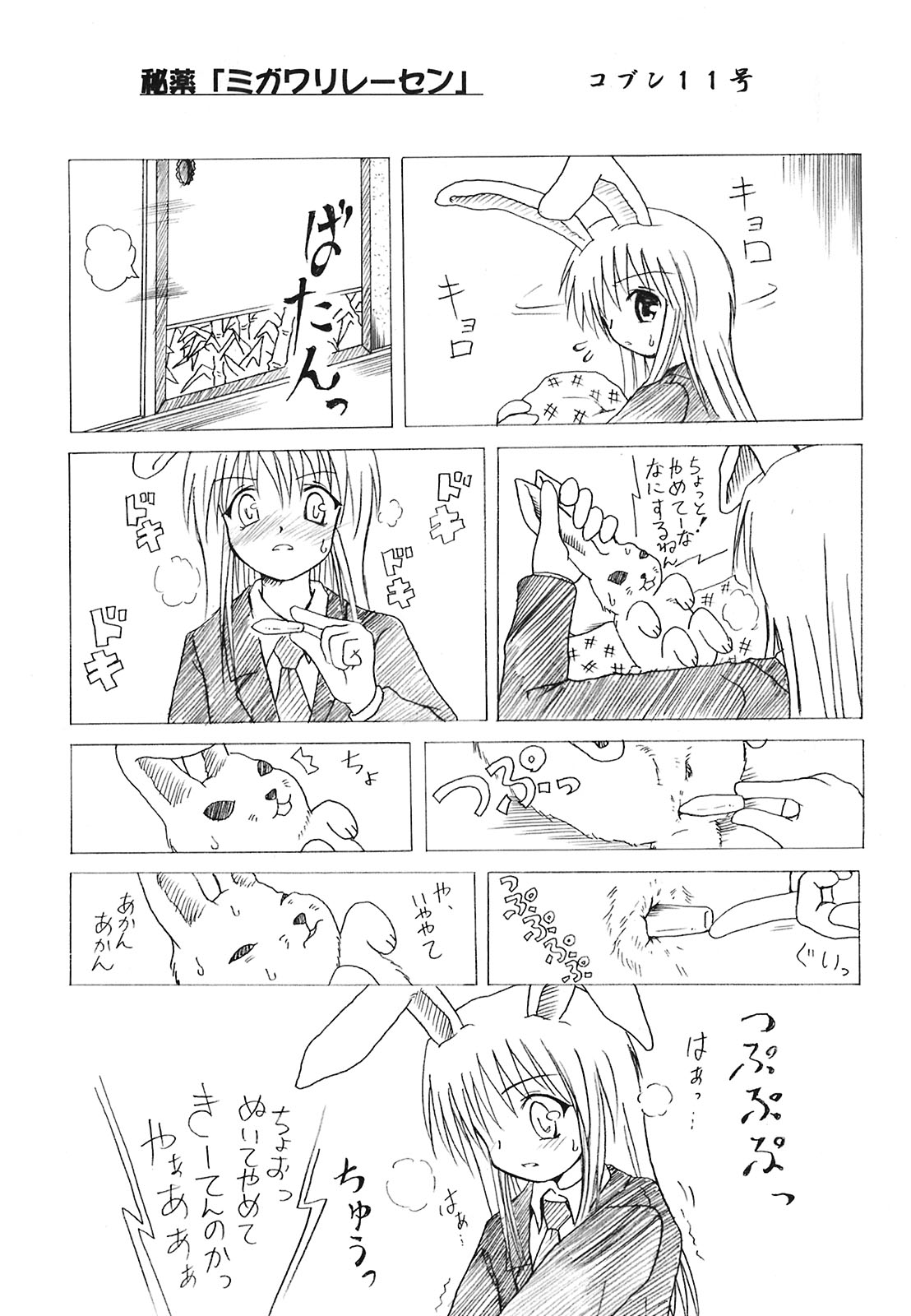 (C70) [Mirabilien Fabrik (よろず)] 少女妖彩蓮画集 東方淫麗香 (東方Project)