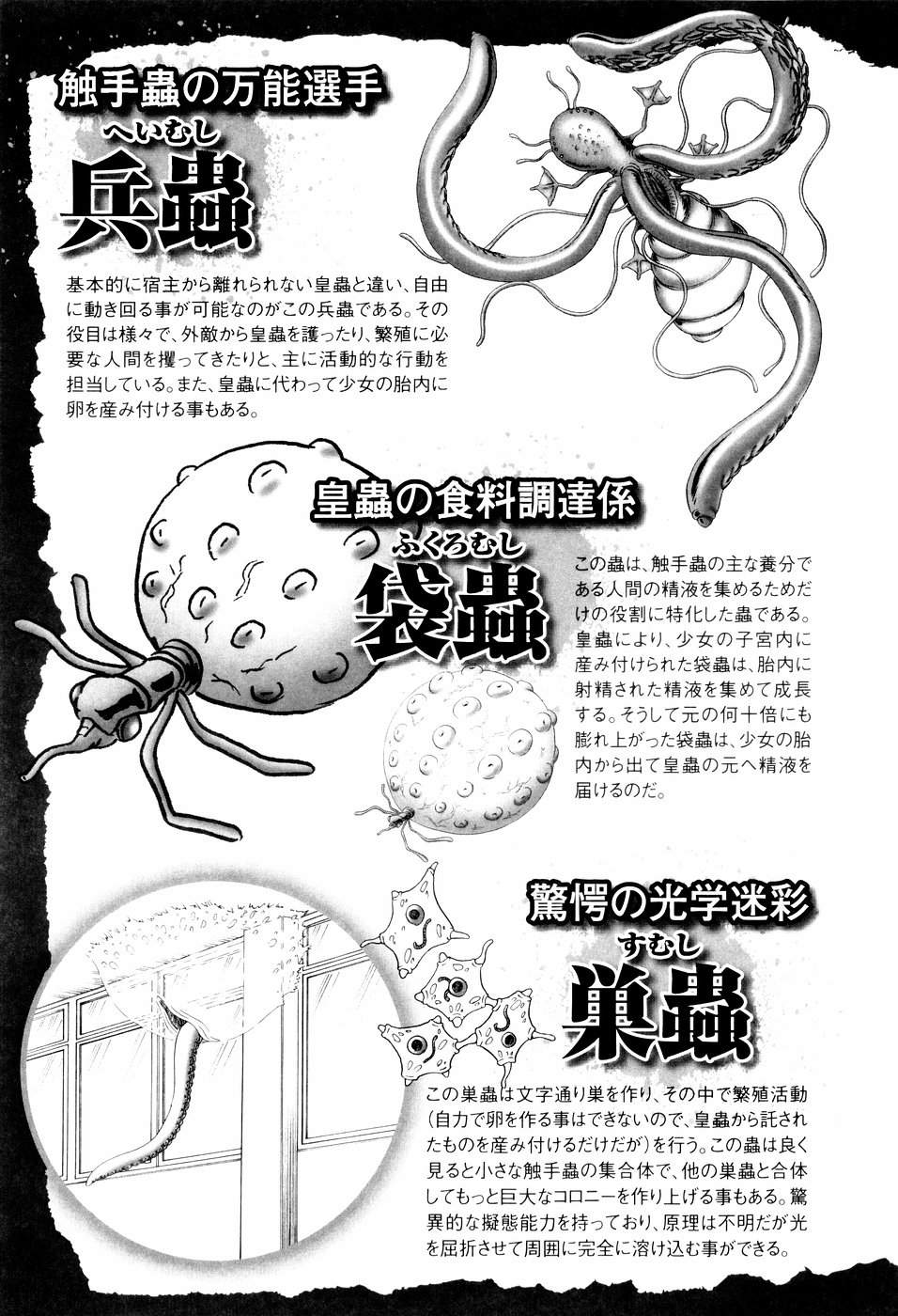 [某零] 秘蜜の花園 [英訳]