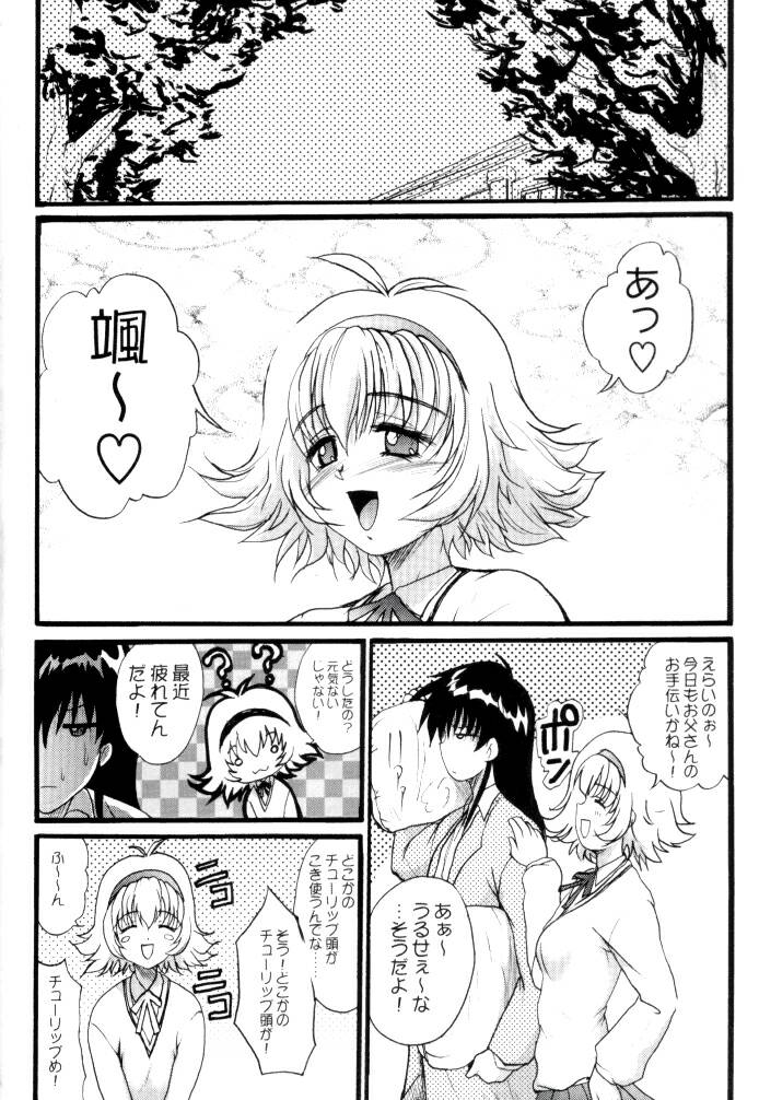 (C62) [あかひら麒麟 (あかひらきりん)] 美 TO 3 (新白雪姫伝説プリーティア)