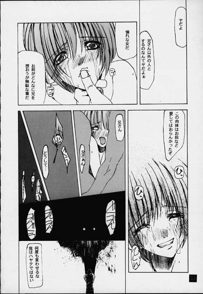 (C59) [遊歩堂 (てくてく)] lovers day (デッド・オア・アライブ)