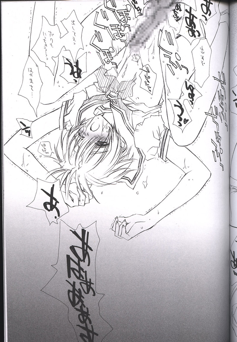 (C62) [CARNELIAN (CARNELIAN)] 月落葉 其の三 (顔のない月)