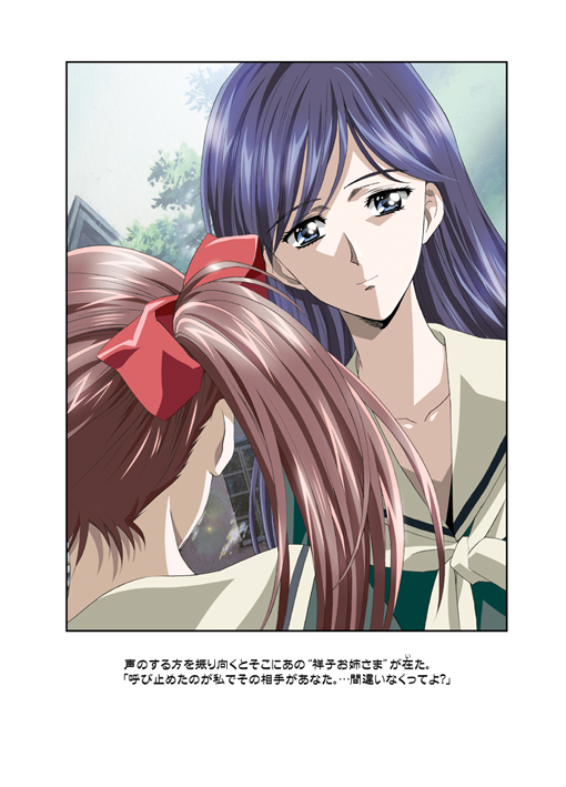 【ヘンレイカイ】アモリオベータ