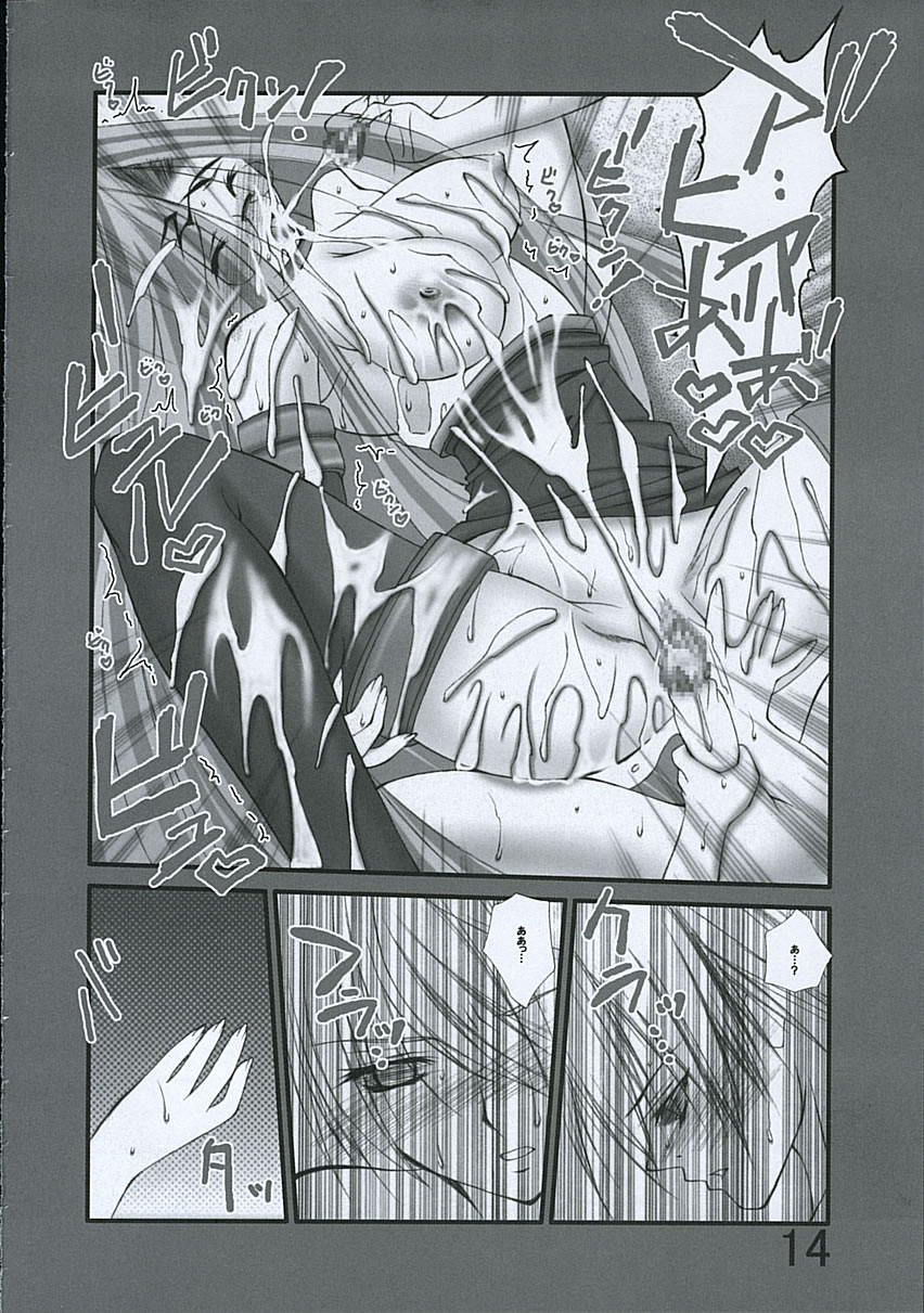 (蒼月宴) [暴走スワンチカ (かとうちゃん太)] 夜に咲き乱れる… (Fate/hollow ataraxia)