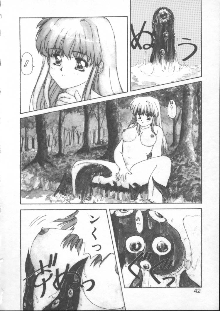 【にしき義統】妖精カウンター