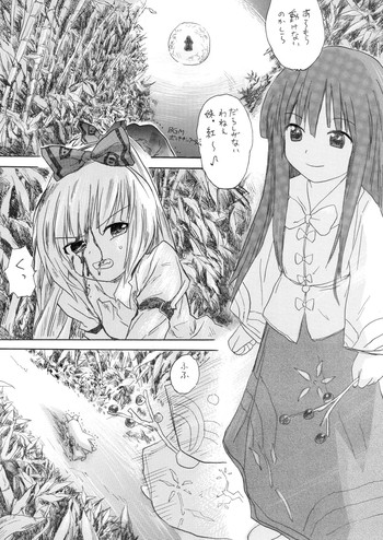 [プライドZERO] 蓬莱妊娠 (東方Project)