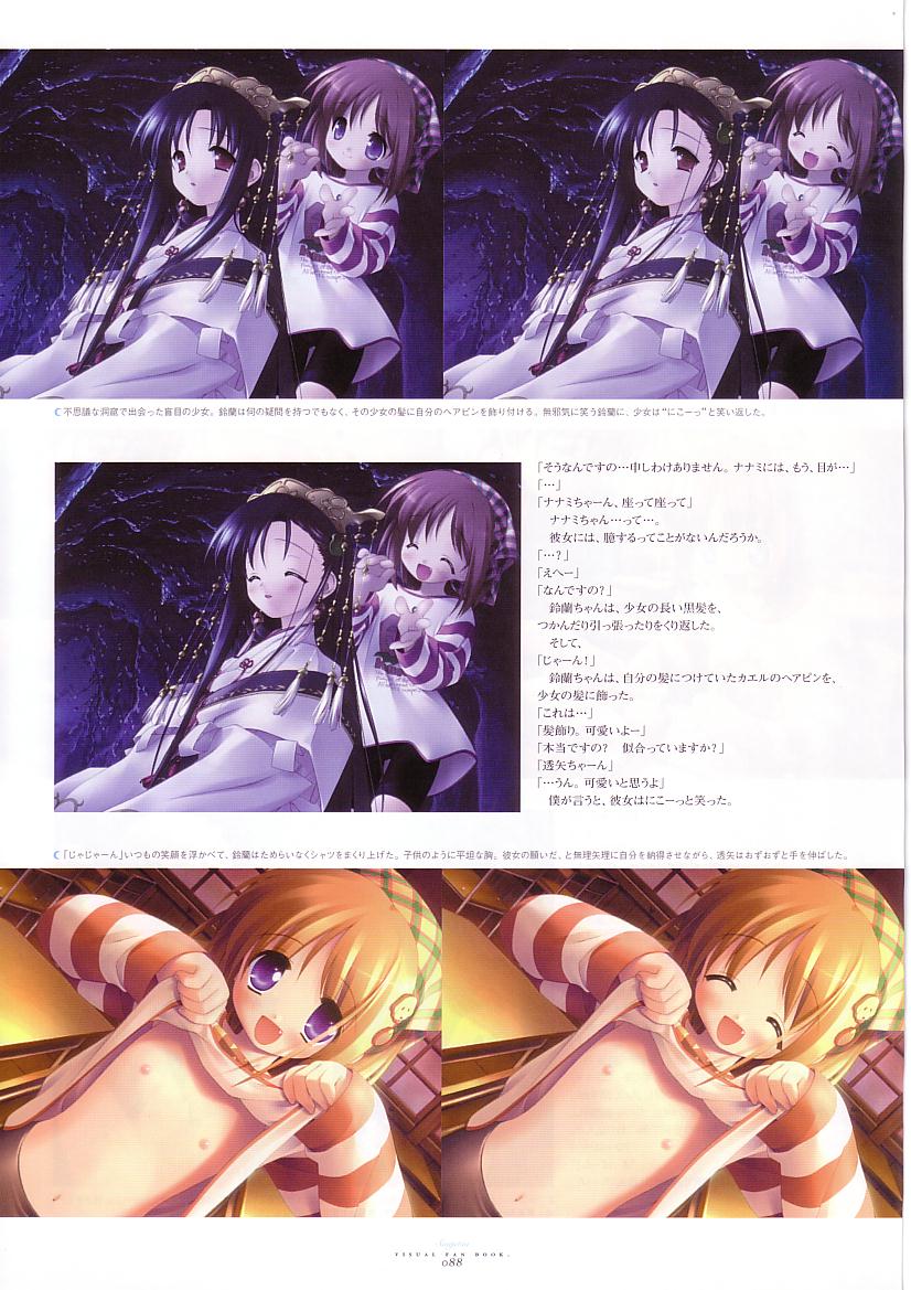 水月ビジュアルファンブック