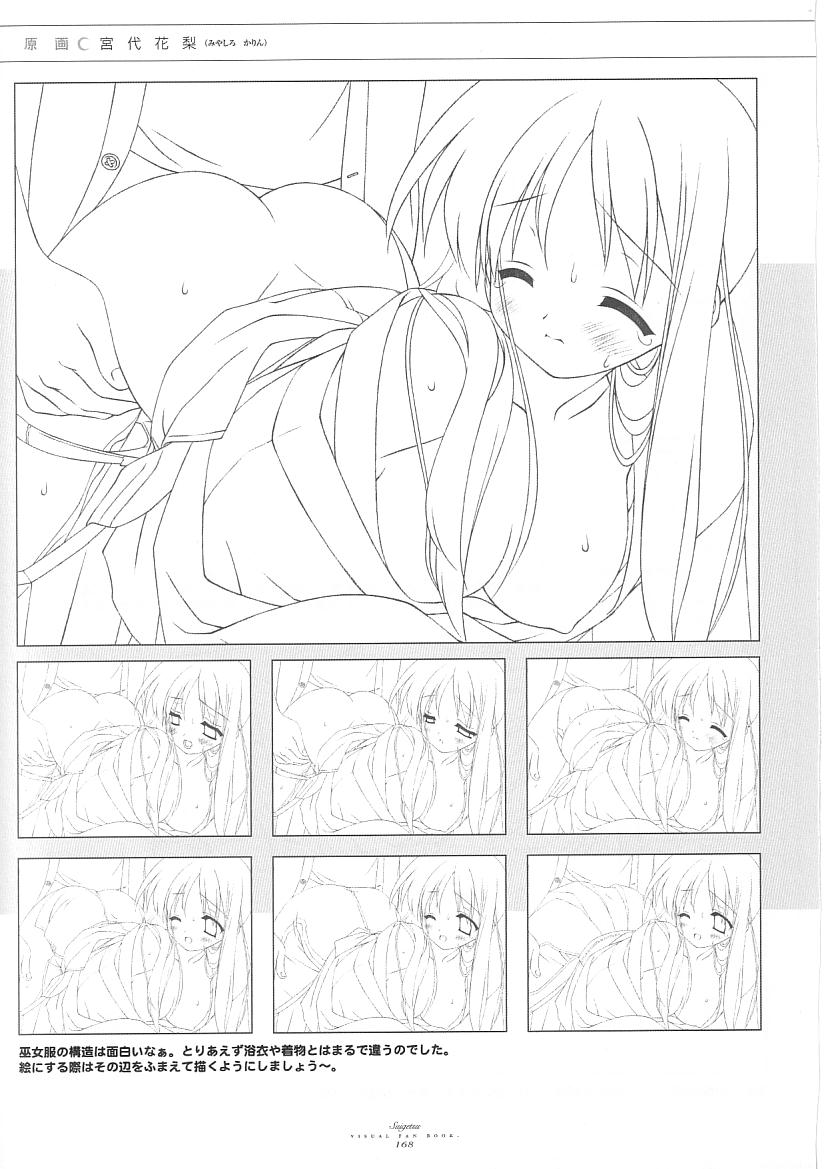 水月ビジュアルファンブック