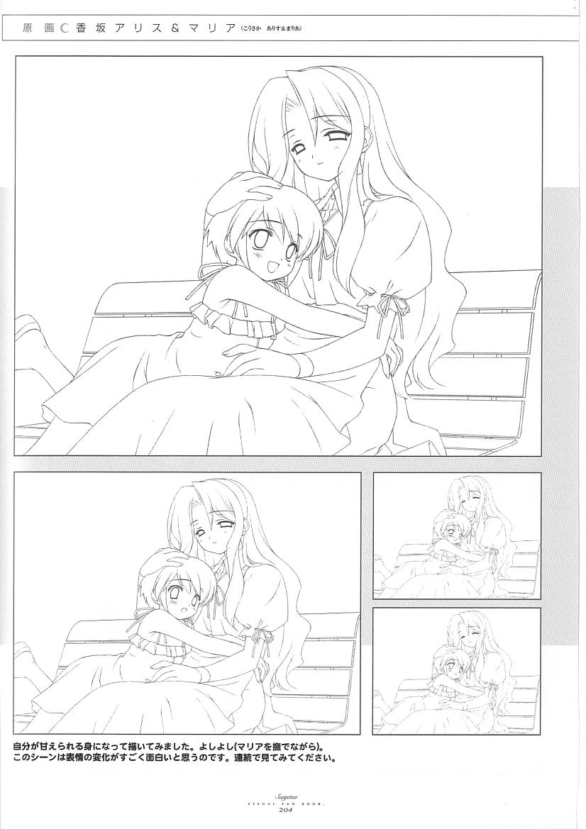 水月ビジュアルファンブック