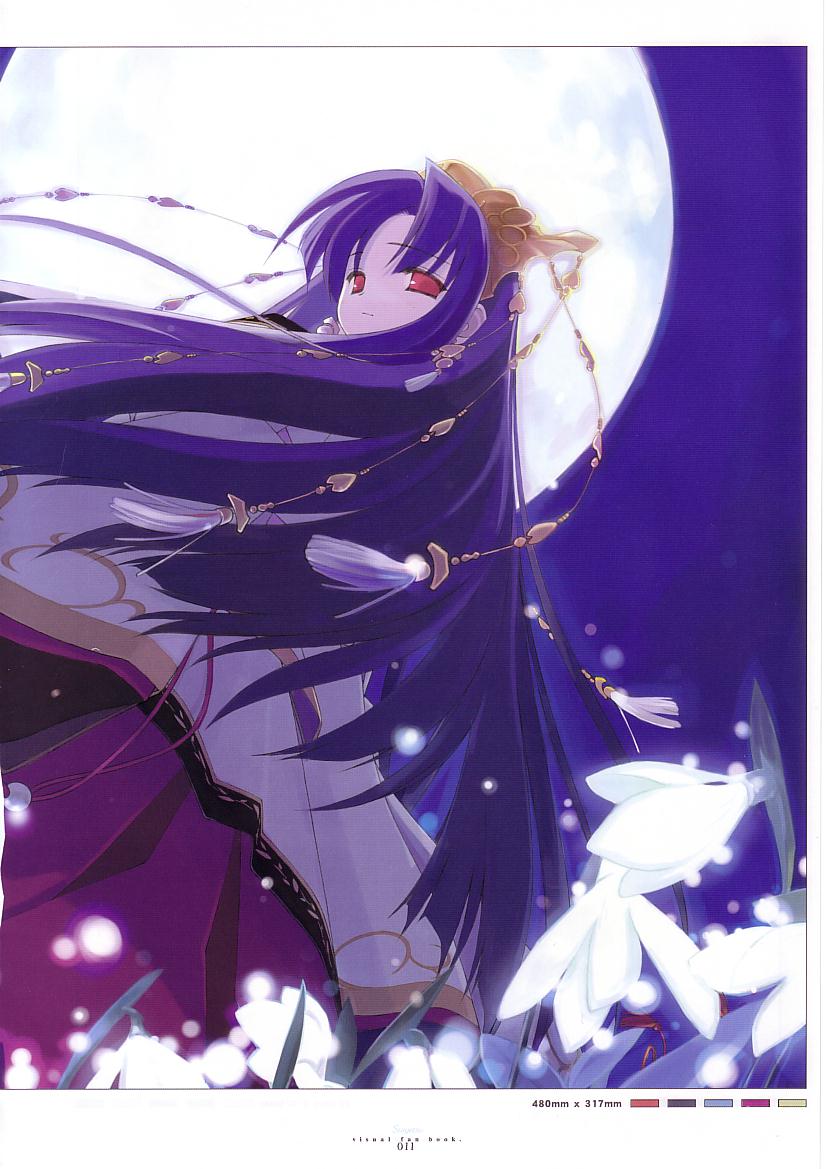 水月ビジュアルファンブック