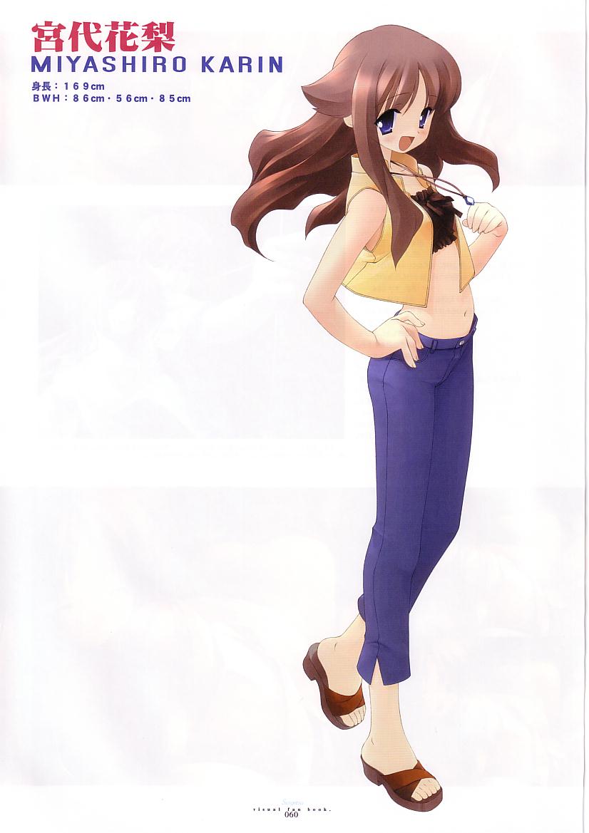 水月ビジュアルファンブック