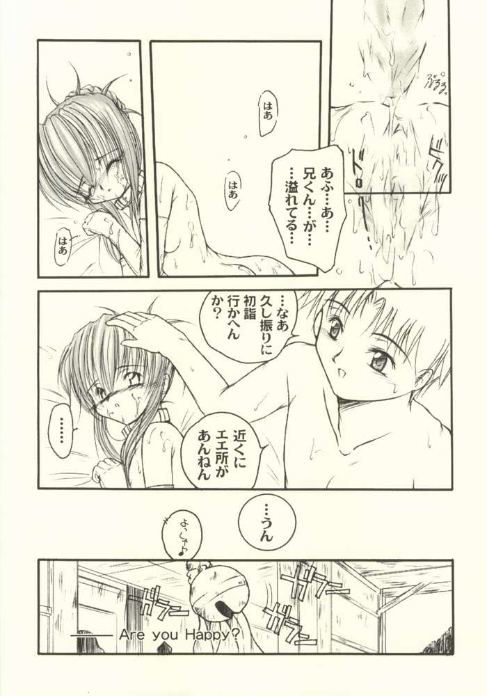 (C61) [GAZEL FORM (真冬ノ水火)] HAPPY? (シスター・プリンセス)