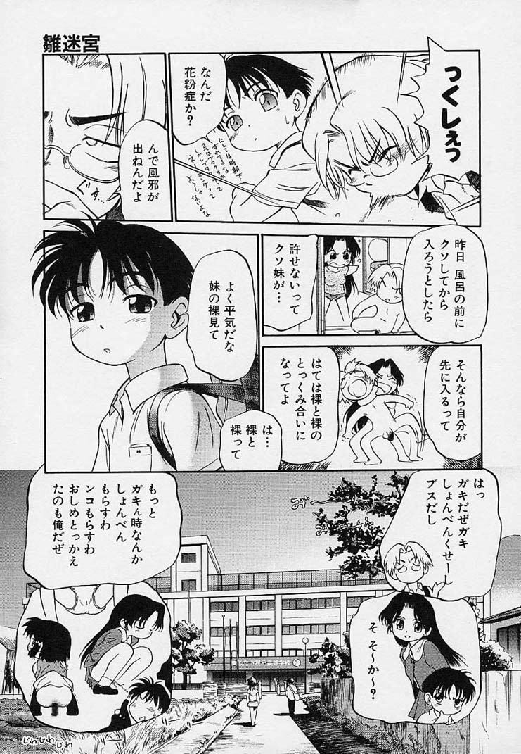 [魔訶不思議] 雛迷宮
