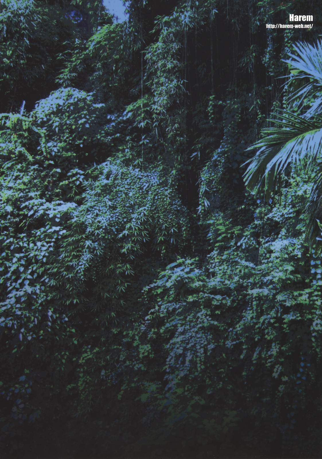 (C74) [Harem (水月ハニー)] ハンターちゃん大ピンチ!! (モンスターハンター) [英訳]