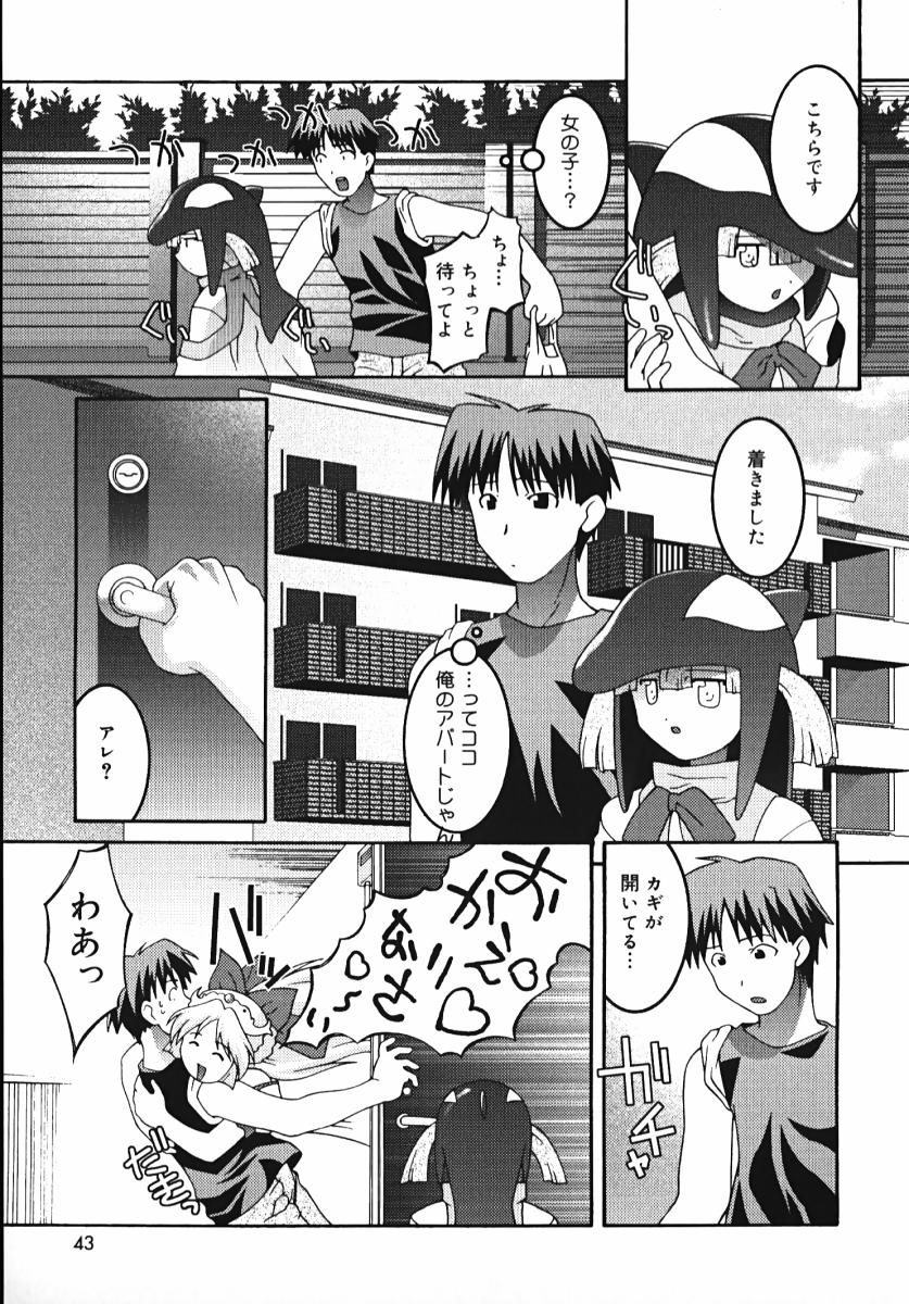 [ひめはち] ラジカるベクトる