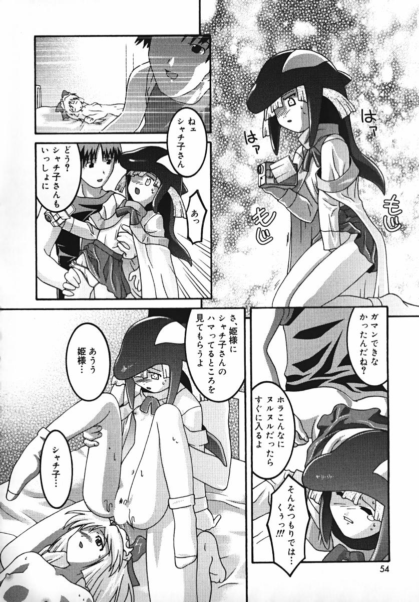 [ひめはち] ラジカるベクトる