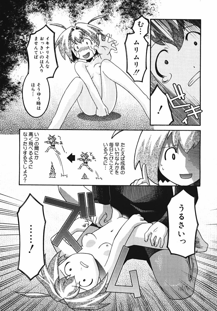 [ひめはち] ラジカるベクトる