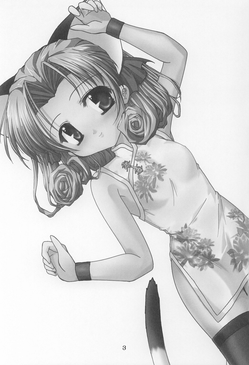 (C64) [ほにょのうち (ほにょ)] TWINKLE TWINKLE SISTERS VI (シスタープリンセス)