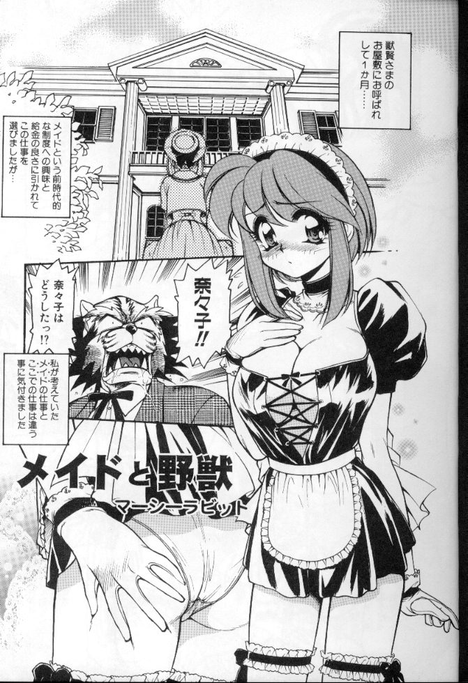 [アンソロジー] メイドデラツクス