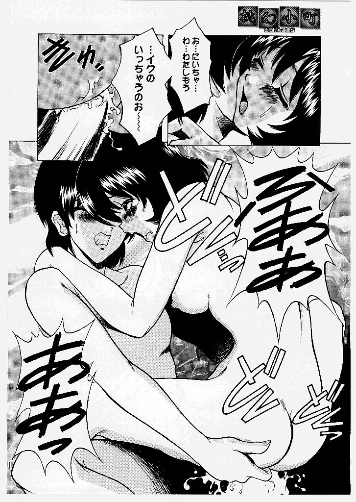 [新堂なおと] 桃幻小町