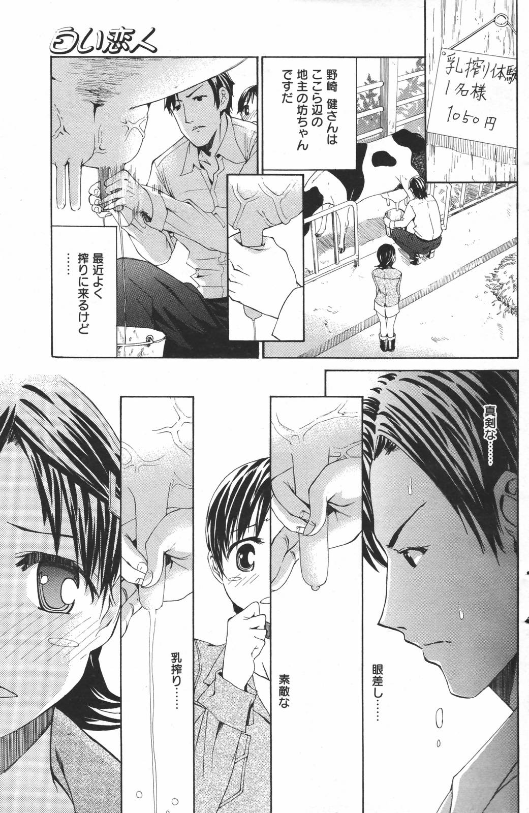 漫画ばんがいち 2007年3月号