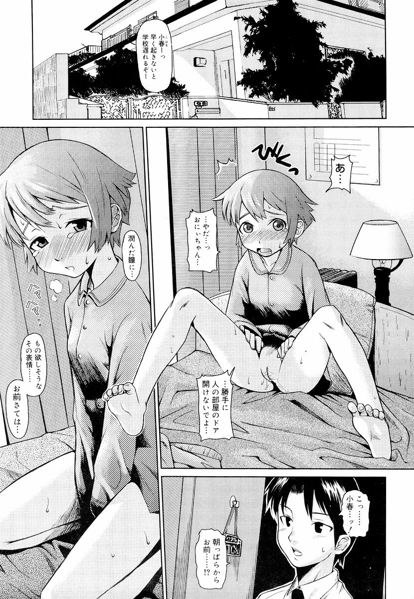 [てりてりお] めがね学校 [無修正]