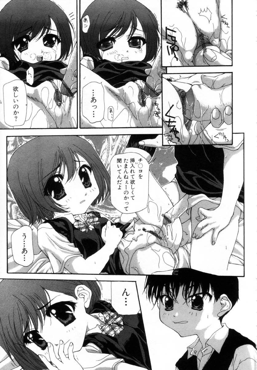 [七瀬真琴] 女の子の秘密