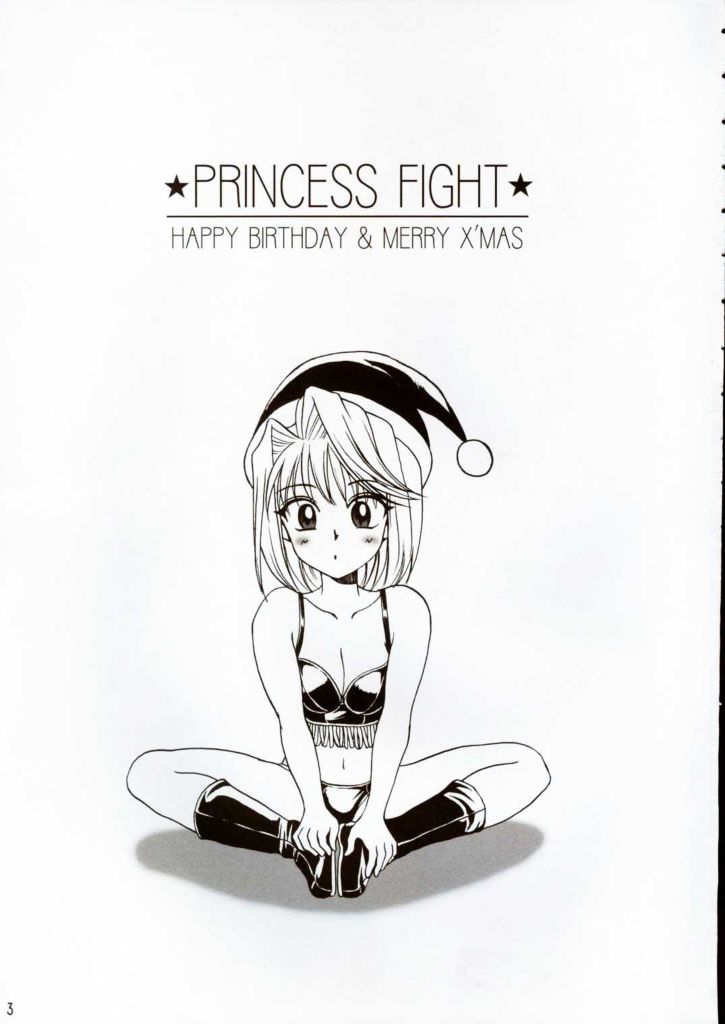 (C65) [お嬢の浴室 (AYA)] PRINCESS FIGHT HAPPY BIRTHDAY & MERRY X'MAS (月姫)