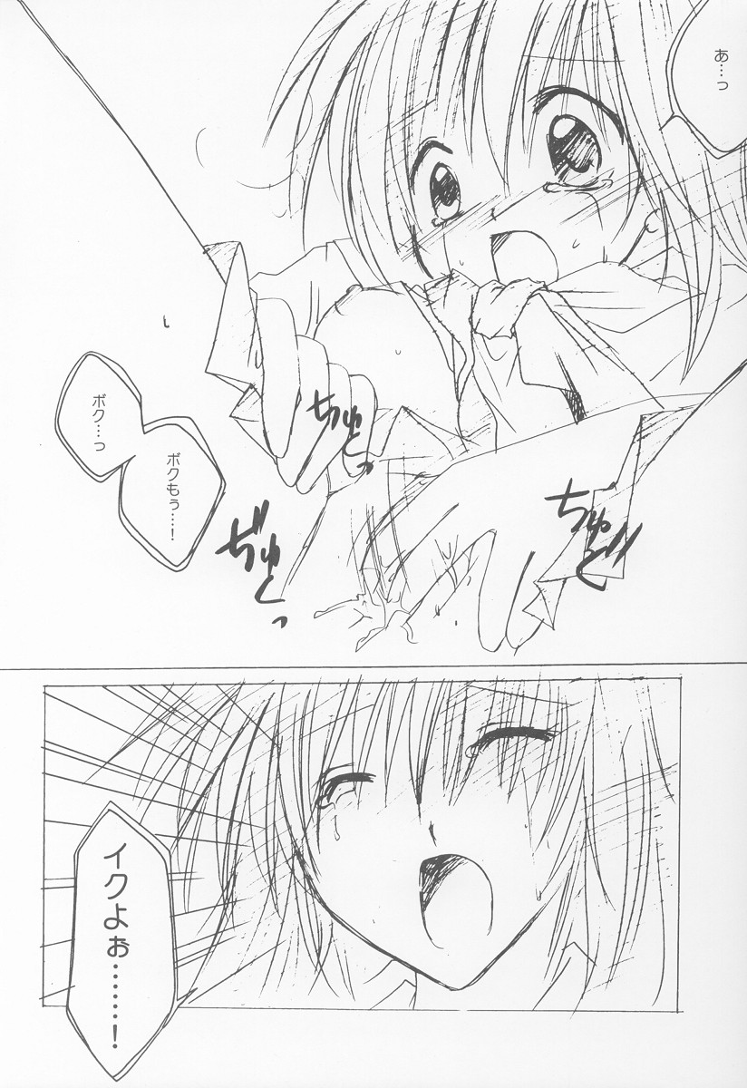 (サンクリ15) [LoveLess, LOVEMASTER (相模三千代, 佐渡悠花)] STRAWBERRY LOVE (シスタープリンセス)