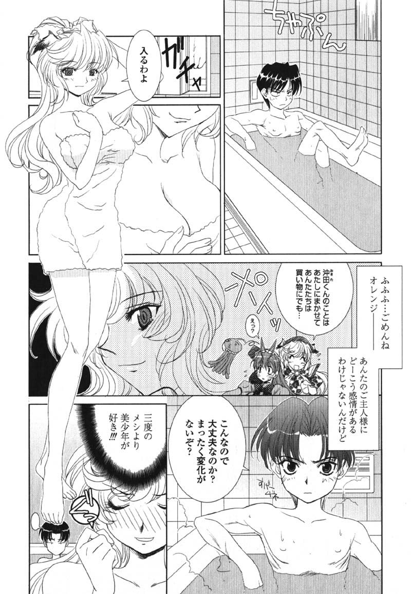 【九尾（108）】メイドインメイド（041105）