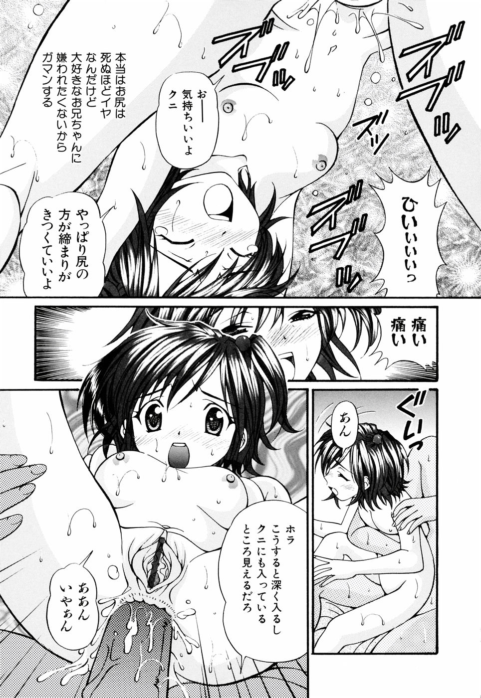 【月見大福】いもうと