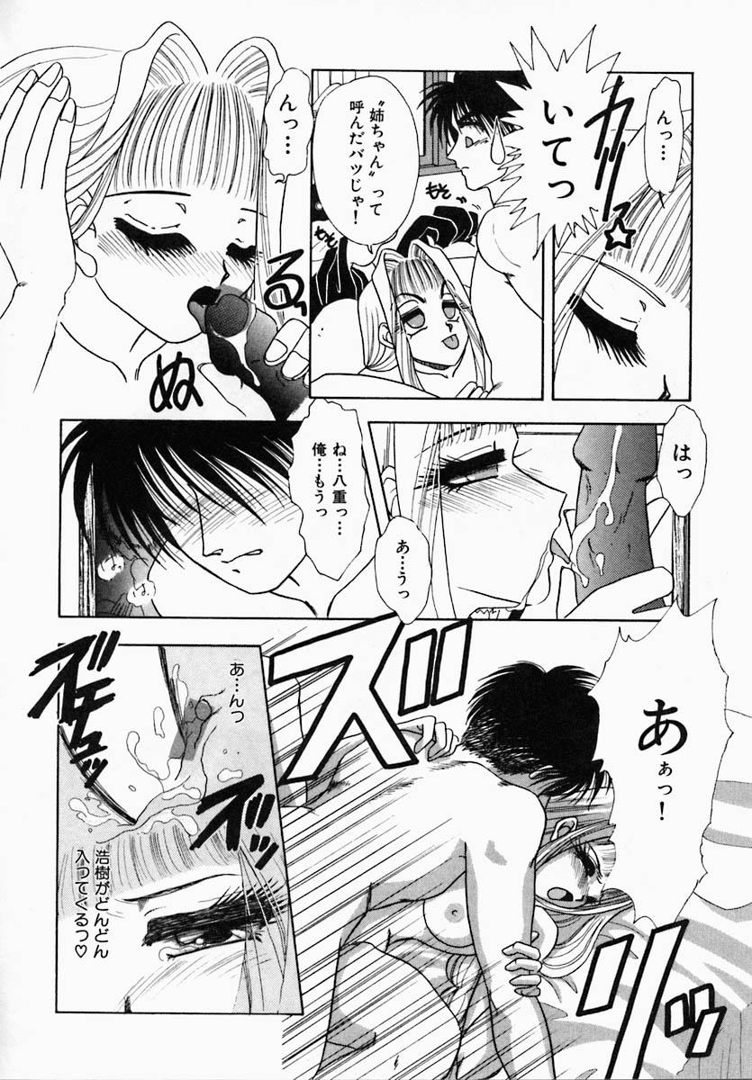 [徳永孔雀] 思慕