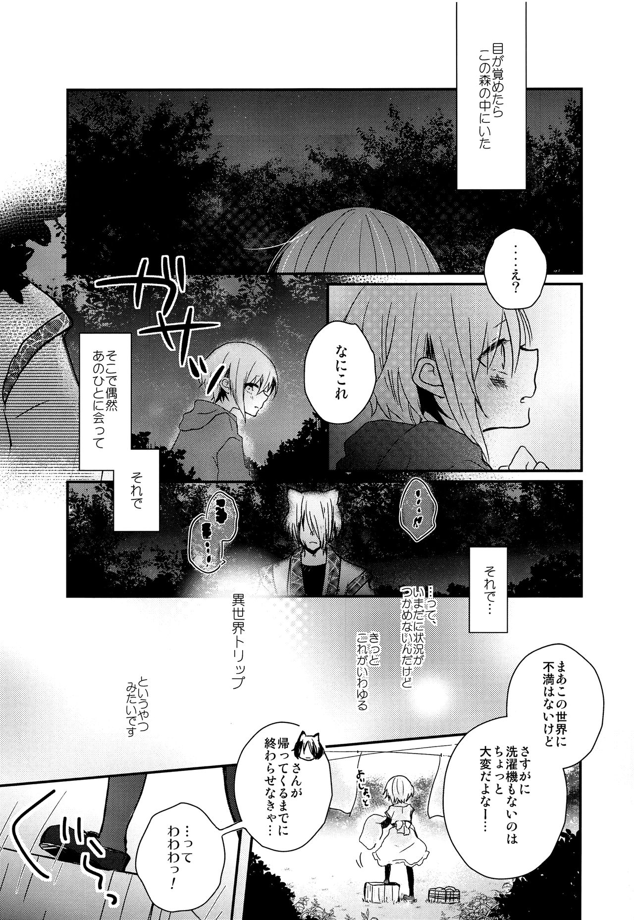 (C92) [有袋類X (しほみ)] 夜明け前のユーフォリア