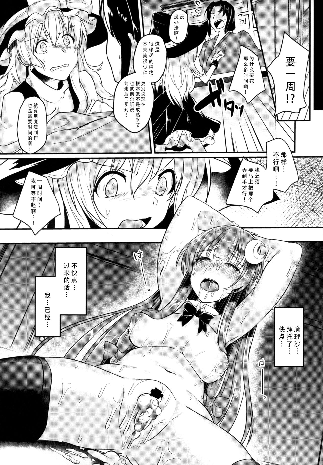 (例大祭15) [空想モノクローム (あび)] 身代わりのパチュリー (東方Project) [中国翻訳]