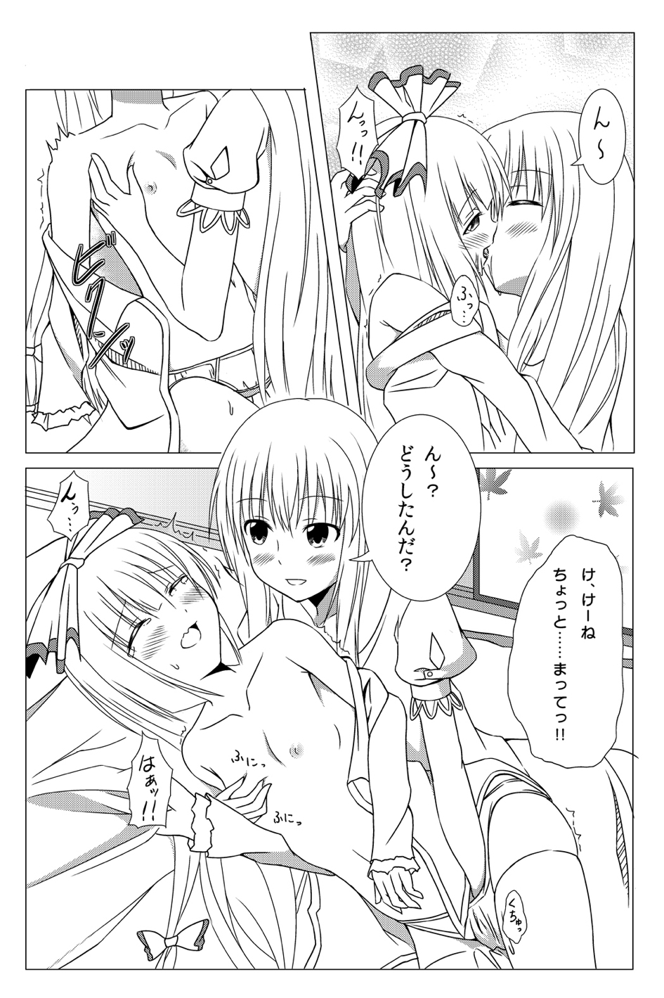 (C84) [井戸端会議所 (ふりいど)] 私の可愛いもこたん (東方Project)