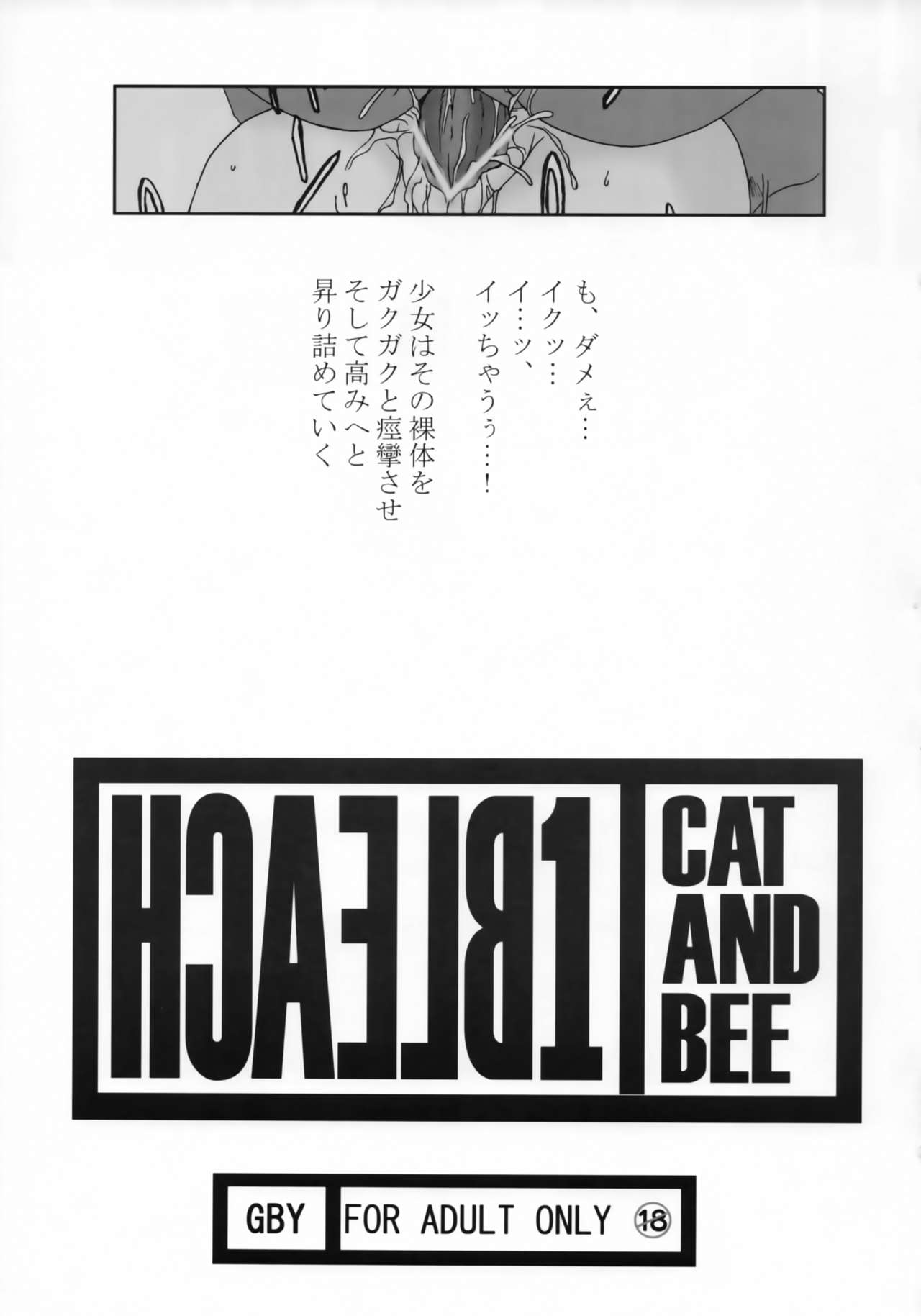 [GBY (橘海衣)] HCAELB -裏ブリーチ- (ブリーチ)