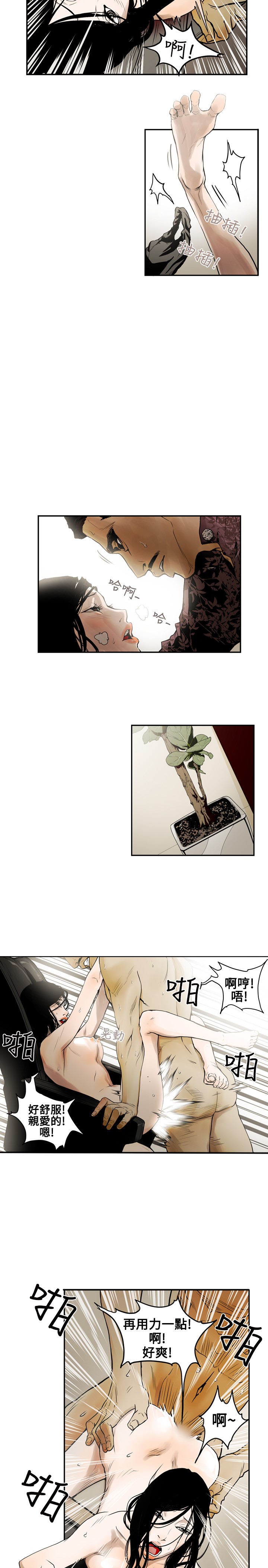 Honey trap 甜蜜陷阱