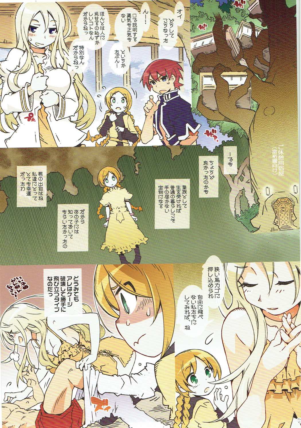 (COMIC1☆11) [OPEN BOOK (遠海ハルカ)] S&ホーリィナイト (ソード・ワールド2.0)