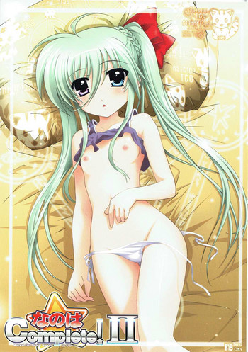 (C82) [TIMTIMマシン (国天カズマ)] なのは☆Complete! II (魔法少女リリカルなのは)