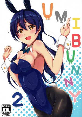 (C91) [いつかのカバヤキ (Cabayaki)] UMI BUNNY 2 (ラブライブ!)