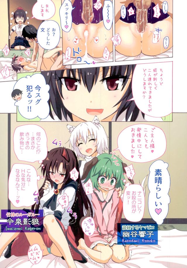 (C91) [かみか堂 (銀曜ハル)] 幻想郷楽園化計画18 (東方Project)