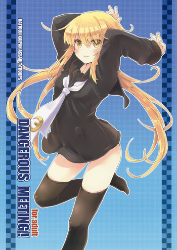 (C89) [八王子海パン突撃騎兵隊 (巻田佳春)] DANGEROUS MEETING! (艦隊これくしょん -艦これ-)