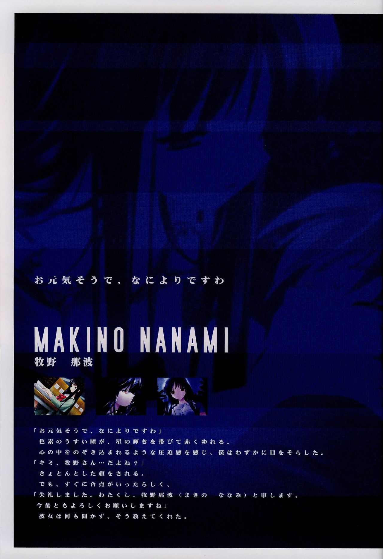 水月ビジュアルファンブック [Incomplete]